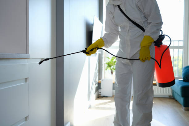 Best Fast Mold Removal  in Lansing, MI